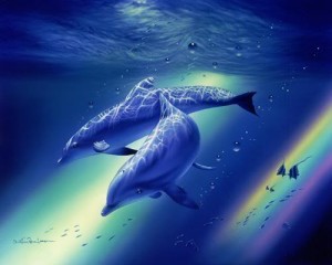 stock.dolphin